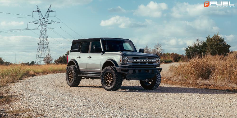 Ford Bronco Rebel 6 - D681